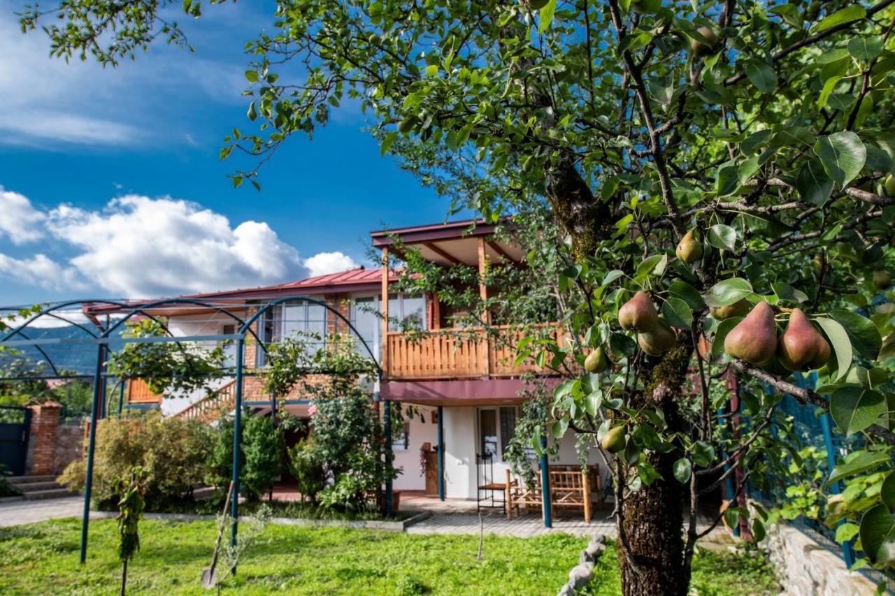 Your Home, Lagodechi Exterior foto